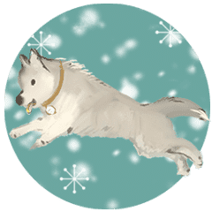 Merry christmas~