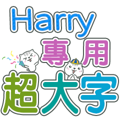 452(Harry)Name Sticker- large