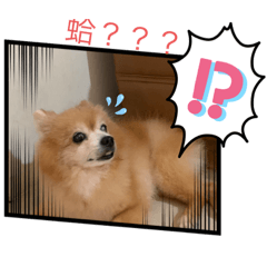 昏貴日常