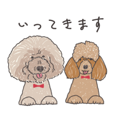 Toy poodle MARU and KOTARO