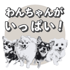 わんちゃんがいっぱい Line スタンプ Line Store わんちゃんがいっぱい Line スタンプ Line Store