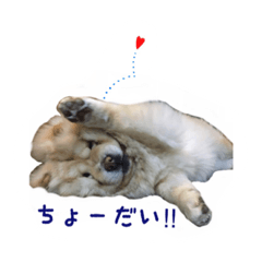 mocomocomococo