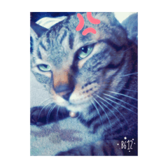 Tomomi_20211119080720