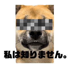 chachamaru stamp2