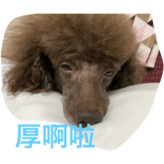 小呂呂2