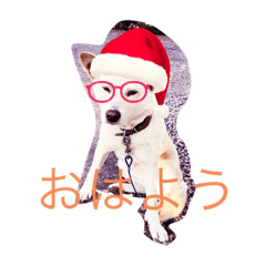 HANA_20211119152739