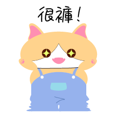 The most weird cat-Mi Miao 3 dressing