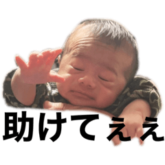 hikari_20211119163225