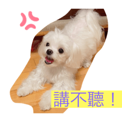 布醬與co醬3