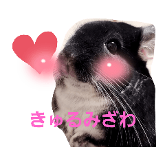 rei_20211119210455