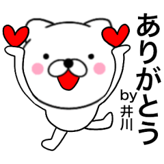 Name cat Igawa2