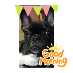 chisa_20211119215358