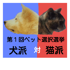 犬と猫の人気選挙