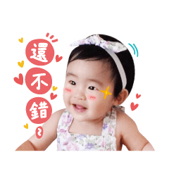 追星記