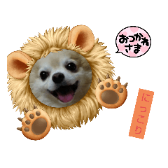 nozomi_20211120001500