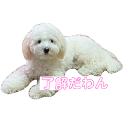 RIHO_20211120002249