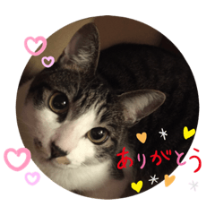 SUZU_20211120000235