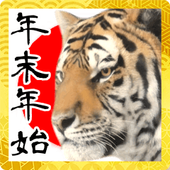 Stylish tiger