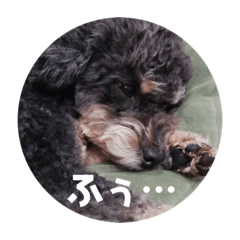 AKIKO_20211119193749