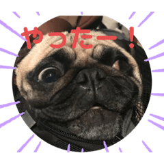 hana_shishi_channel1