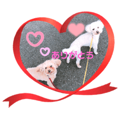 kaori_20211120102819
