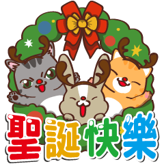 皮皮&毛毛-聖誕快樂篇