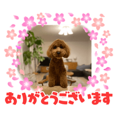 tonton_20211120124315