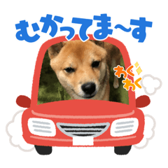 yukari_20211120151916