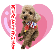 NANTETTATE AIDORU Sticker