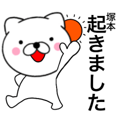Name cat Tukamoto