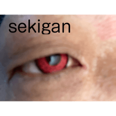 koz_20211120182349