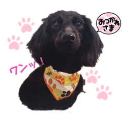 alice_20211120183356