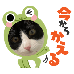 suzu_20211120191246