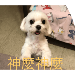 親手畫