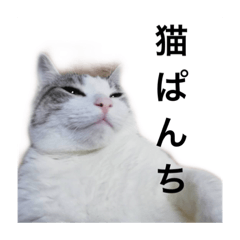 kuu_20211120214940