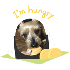 ayumi_20211120223440