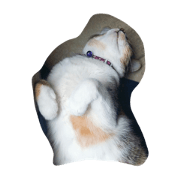 pipi lala