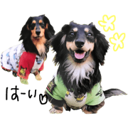 puta&kanta
