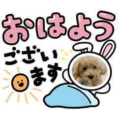 SHELLY_20211121012250