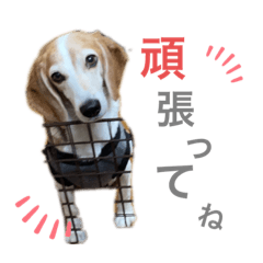 yuka_20211121102130