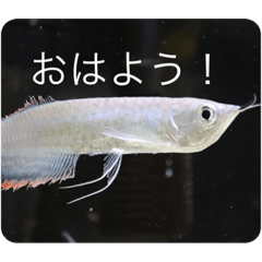 yuto_20211121103649