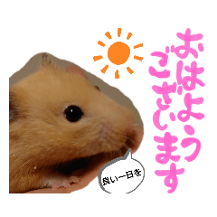 yuka_20211121164828