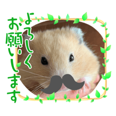 NANAMI_20211121162229