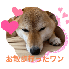 SAYA_20211121195758