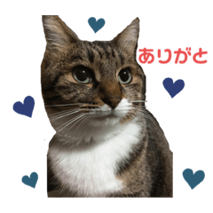 mizuki_20211121195005