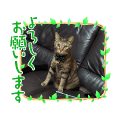 Yuka_20211121195943