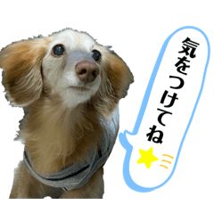 kuu_20211121211519