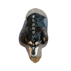 Yukari_20211121223850