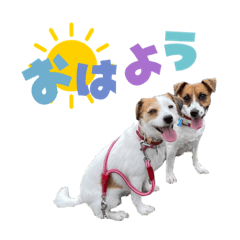 はなとさくの花咲くeveryday3