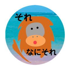 ayumi_20211121233205